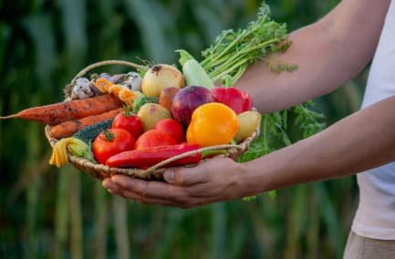 Panier de légumes frais tenu dans les mains